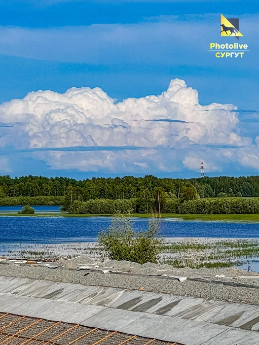 Источник: Александр Филатов / Vk.com