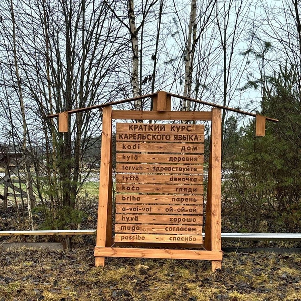 Источник: предоставлено Светланой Хребтовой