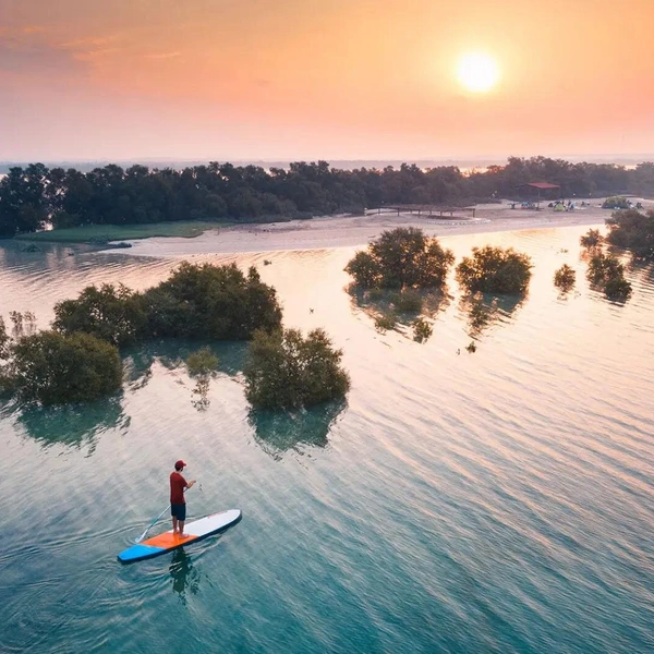 Победитель в номинации Emirates Award | Источник: Ahmed Badwan / Mangrove Photography Awards 2025