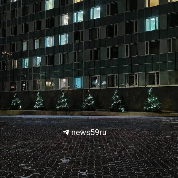 Украсили гирляндой елочки | Источник: читатель 59.RU Canehka