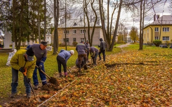 Пузыреплодник, гортензия и спирея украсят Дно: как озеленяют город в Псковской области