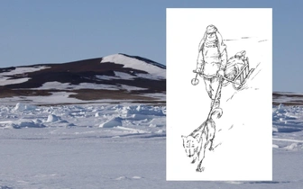 На каких упряжках ездили в Арктике 9000 лет назад? Отвечают петербургские ученые