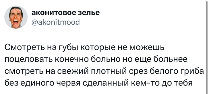 Источник: X (Twitter)