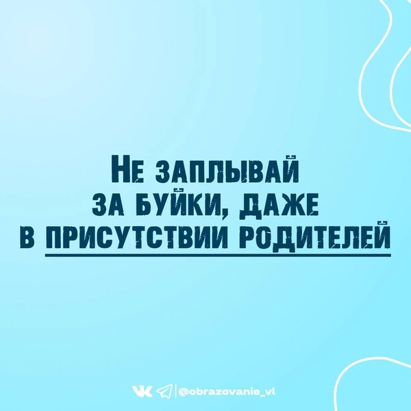 Источник: Администрация Владивостока / T.me