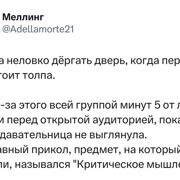 Источник: \X (Twitter)