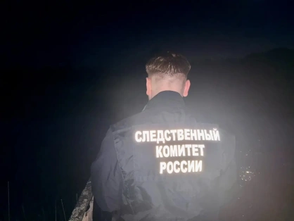 Источник: pskov.sledcom.ru