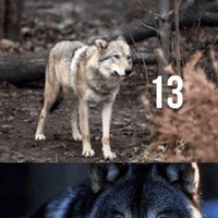 Аватарка Mia