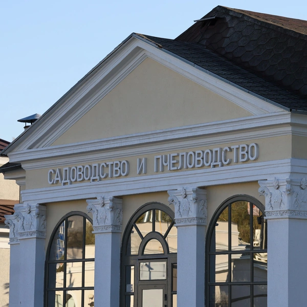 Источник: Артём Устюжанин / MSK1.RU