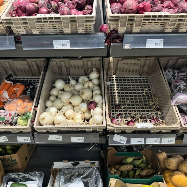 Белый лук | Источник: Дарья Гранкина / 26.RU