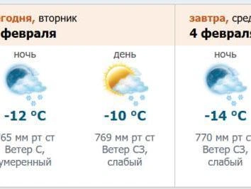 Скриншот сайта метеослужбы meteo.nw.ru