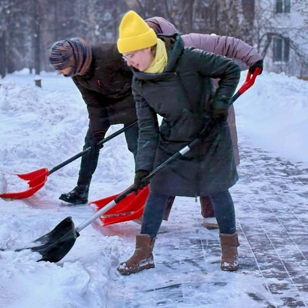 Источник: администрация Нижнего Новгорода