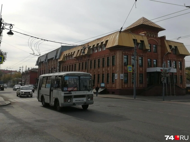 Вездесущие пазики и в тесноте чувствуют себя вольготно | Источник: Дарья Милославская