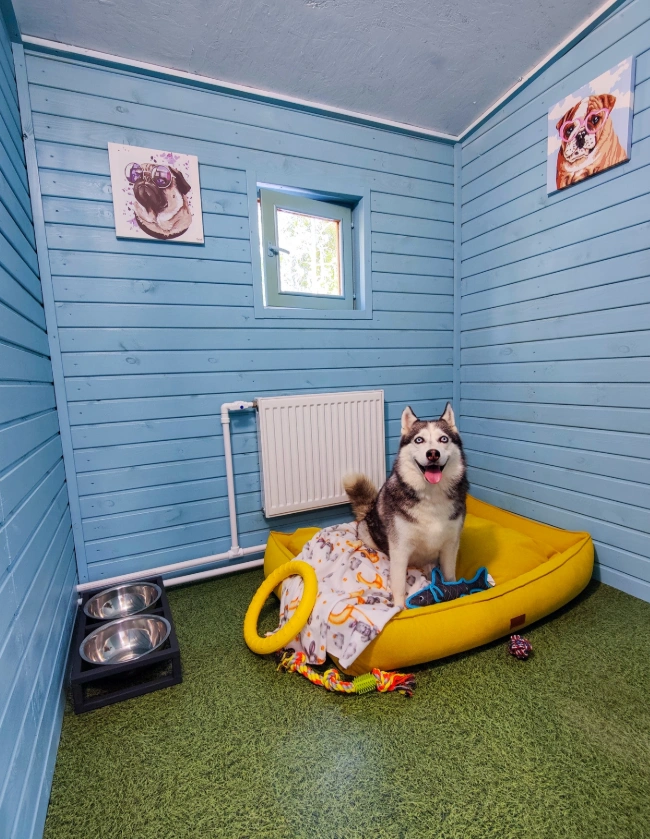 В этой зоогостинице осталось только одно место | Источник: Фотография от владельца / 2 ГИС