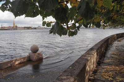 Нева поднялась выше нормы из-за ветра