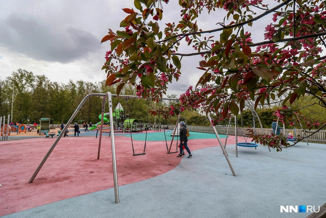 Нижегородцы назвали лучшие и худшие места отдыха в Нижнем Новгороде | Источник: Наталья Бурухина / NN.RU