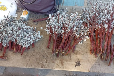 В Архангельске к Вербному воскресенью продают вербу