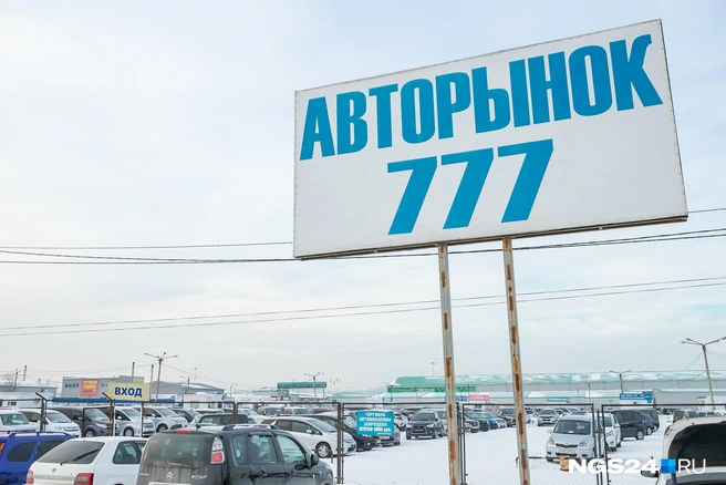 Вот такое большое поле, запаркованное машинами на продажу | Источник: Михаил Шуклин / NGS24.RU