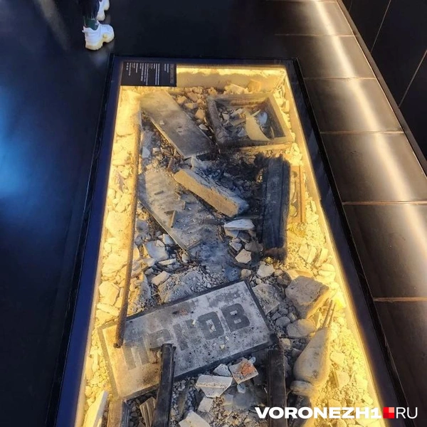 Источник: Ирина Булгакова/ Voronezh1.ru