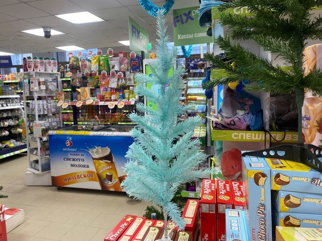 Эта ёлка, по ощущениям, многое повидала на своём веку.  | Источник: NGS.RU