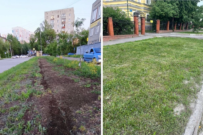 Наш город не раз признавали одним из самых зеленых в России, но, посмотрев под ноги, об этом сложно сказать | Источник: предоставлено Надеждой Баглей; «Бюджет не резиновый» / Telegram