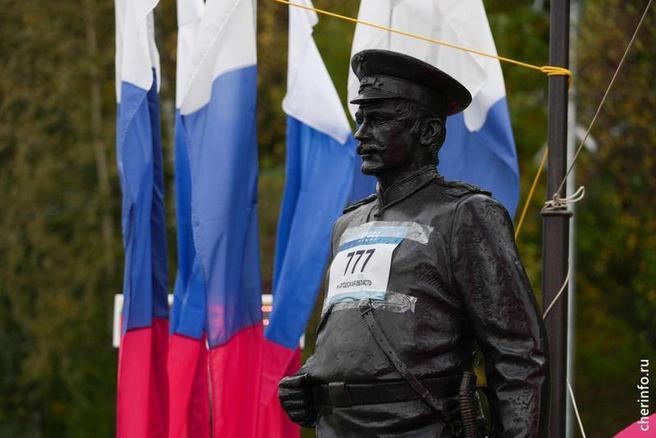 Источник: st.cherinfo.ru