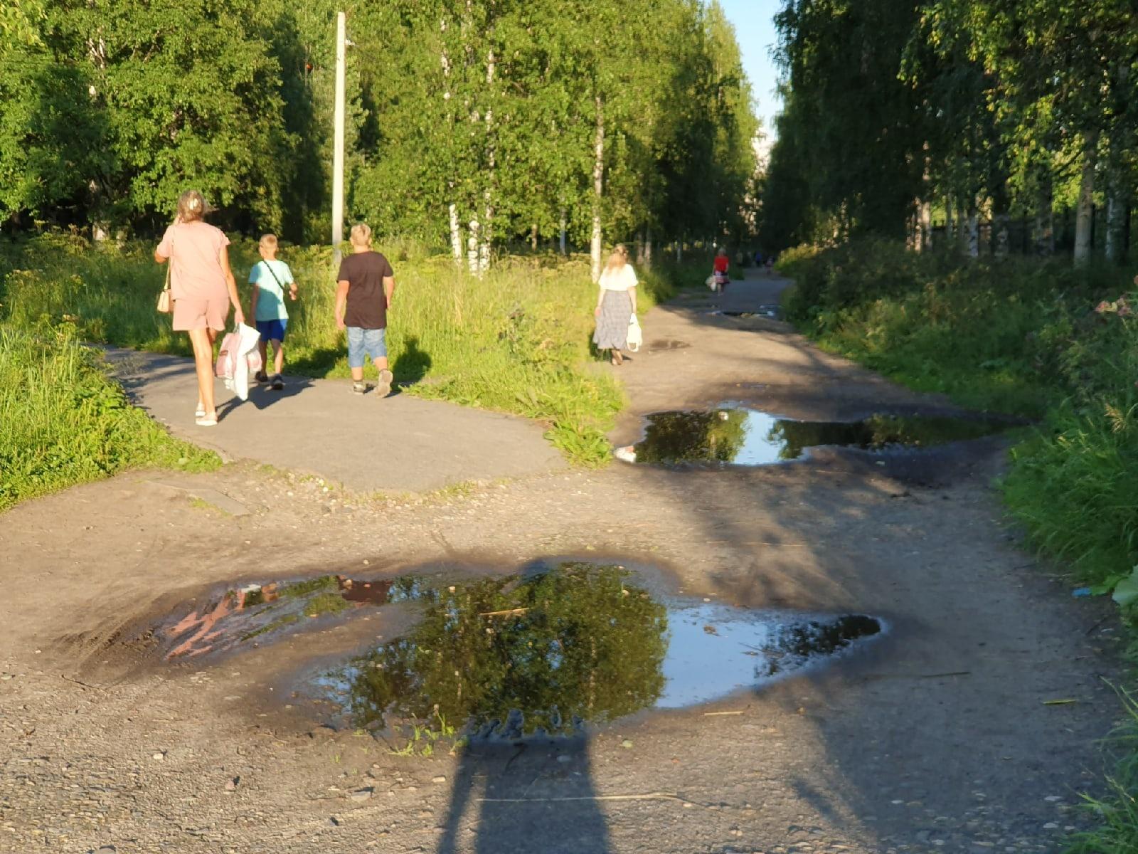 «Дети понимают, что жизнь конечна»: будут ли ограждать парк от кладбища в центре Архангельска