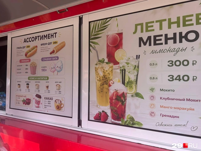Источник: Кристина Полевая / 29.RU