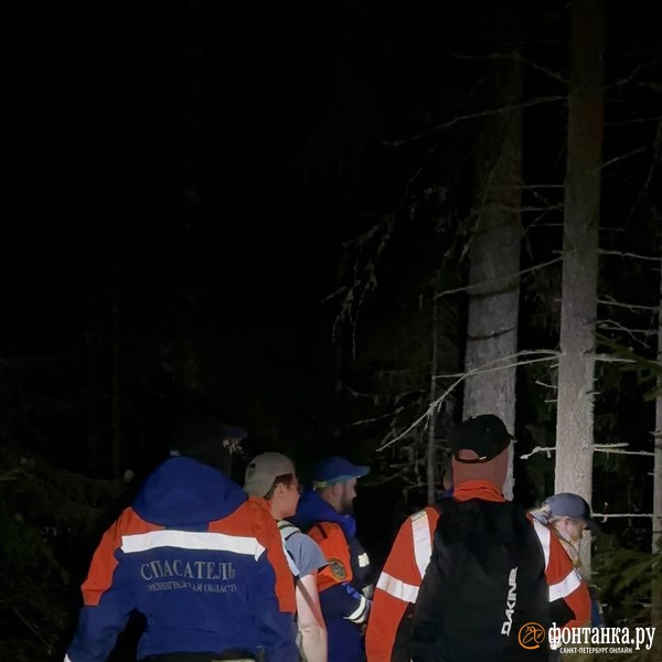 Источник: предоставлено «ЛизаАлерт»