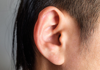 Как ухо различает высоту звуков?