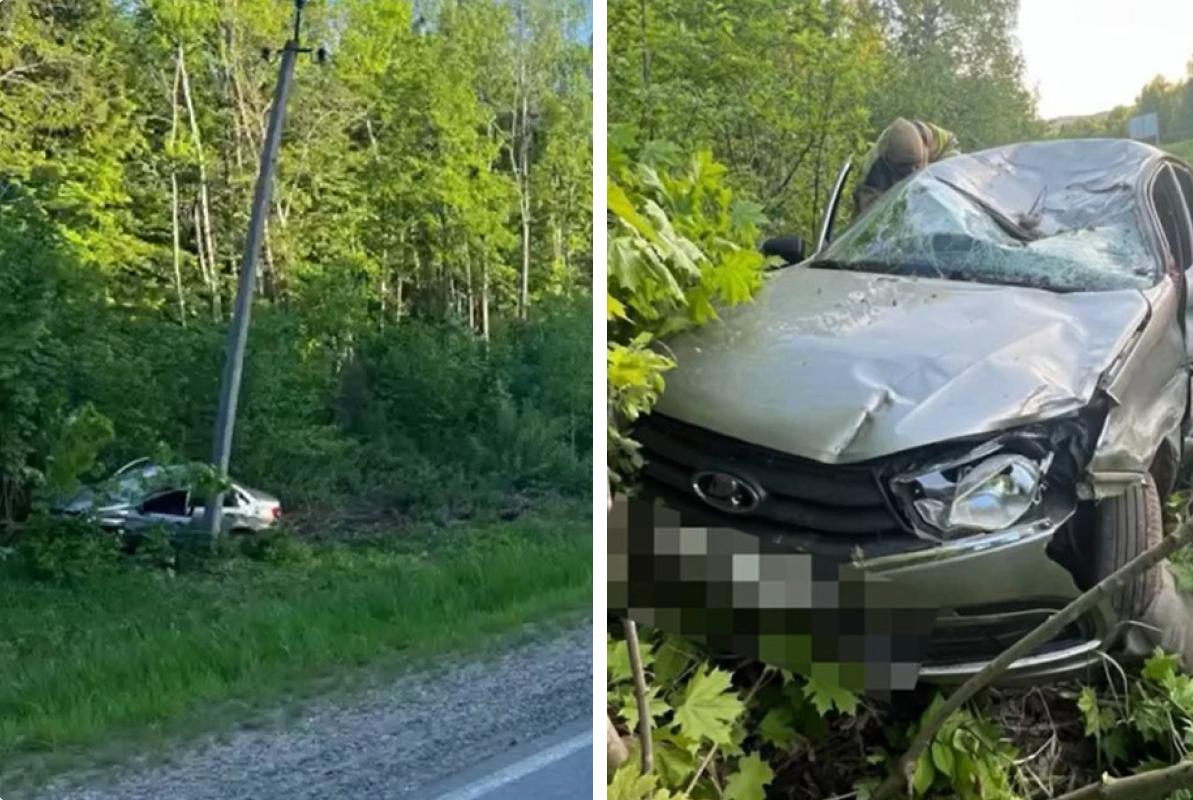 На трассе в Прикамье Lada въехала в лося — водитель погиб