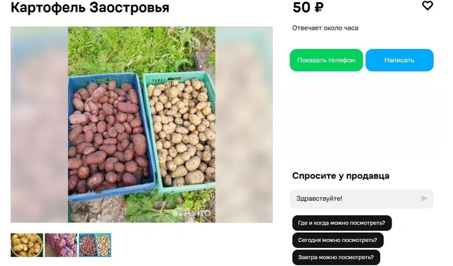 Источник: Avito.ru