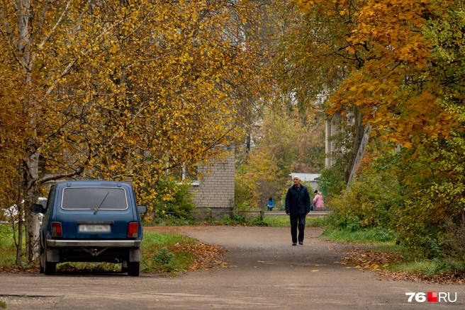 Кажется, что у жителей нет дел и они просто наслаждаются осенью | Источник: Кирилл Поверинов / 76.RU