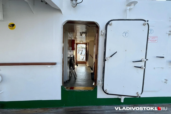 Источник: Елена Буйвол / VLADIVOSTOK1.RU