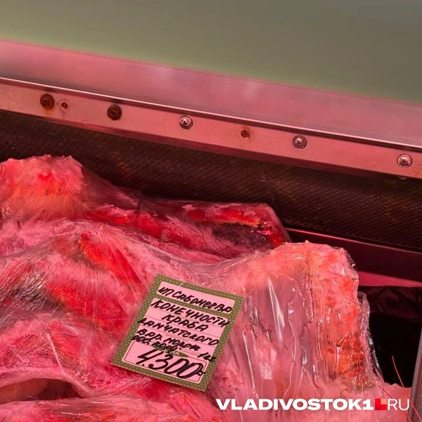 Источник: Елена Буйвол / VLADIVOSTOK1.RU
