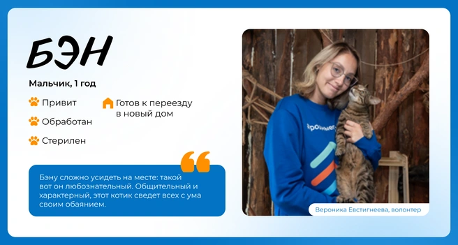 Источник: Василиса Молахова, Евгений Шаров