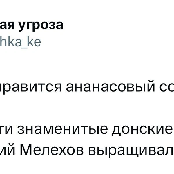 Источник: X (Twitter)