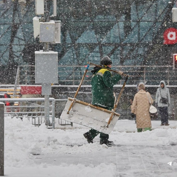 Источник: НГС — новости Новосибирска / Телеграм