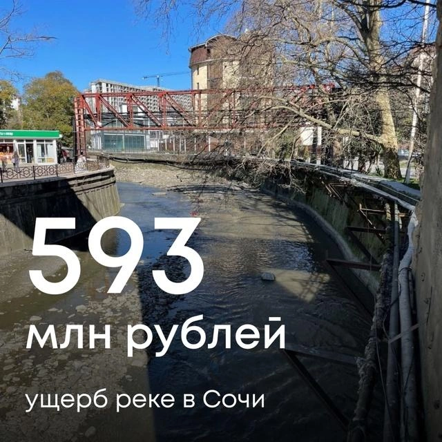 Река выносила в море опасные для экологии вещества | Источник: Светлана Радионова /vk.com