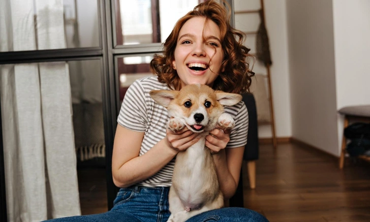 собака долголетие | Источник: iStockphoto