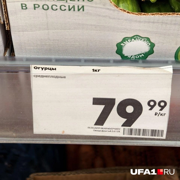 Источник: Булат Салихов / UFA1.RU
