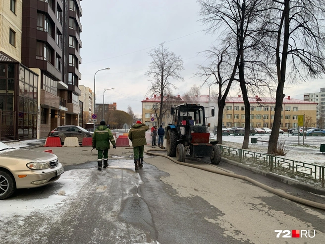 Источник: Никита Кифорук / 72.RU