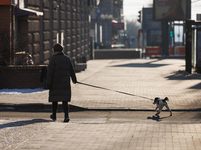 Возможно, эти люди ещё не закончили новогоднюю прогулку | Источник: Алексей Волхонский / V1.RU
