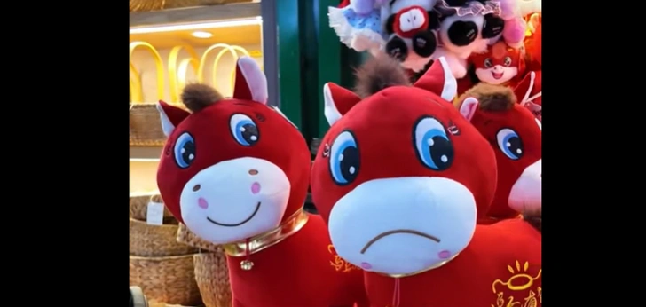 В год лошади взрослые стали скупать бракованные «успокоительные» игрушки | Источник: скриншот видео из соцсетей