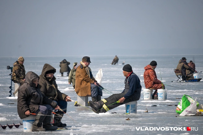 Источник: Елена Буйвол / VLADIVOSTOK1.RU