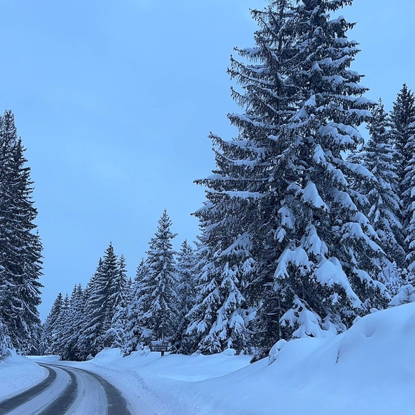 Дорога в Дурмитор | Источник: Габриелла Захарова / 26.RU