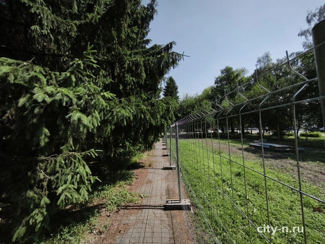 Источник: www.city-n.ru