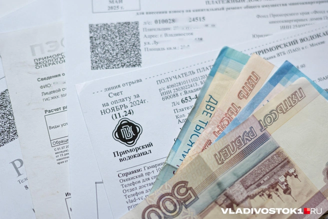 Субсидии могут получать как владельцы жилья, так и арендаторы | Источник: Елена Буйвол / VLADIVOSTOK1.RU