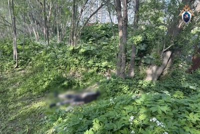Тело мужчины нашли у остановки в Южно-Сахалинске