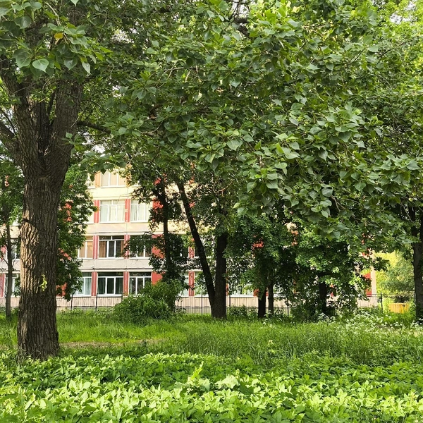 Источник: Против застройки сквера на пр-т Науки 16