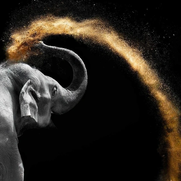 Источник: Christopher Cann / Fine Art Photography Awards 2025